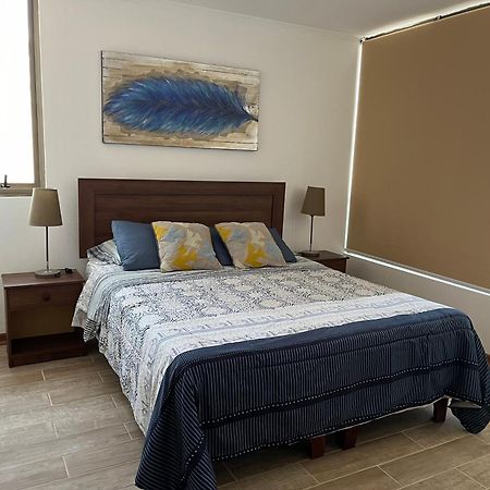 סנטיאגו Studio Cochrane מראה חיצוני תמונה